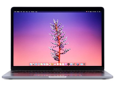 APPLE Laptop MacBook Pro 13 / Intel Core i7-8559U, 13.3", 2560 x 1600, 16GB RAM, 256GB SSD, MacOS, siva (obnovljen)